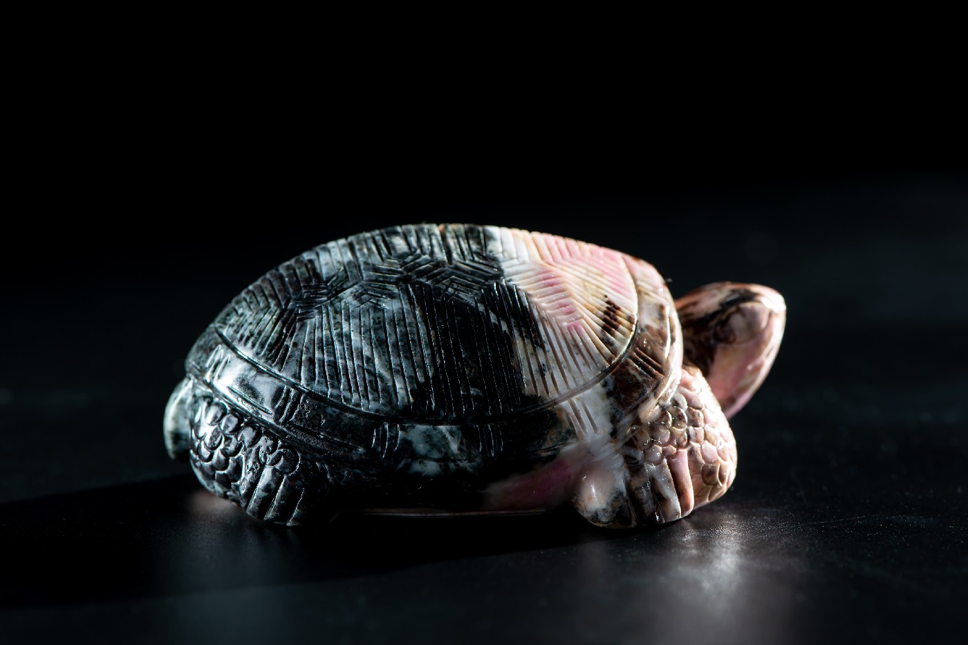 Taiwan Rosestone Turtle 