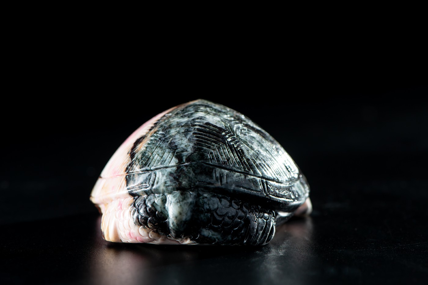 Taiwan Rosestone Turtle 